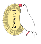 小生意気な文鳥たち（個別スタンプ：34）