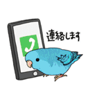 鳥とりどり（個別スタンプ：1）