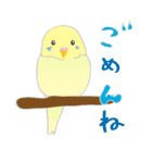 Lovely bird’s happy life（個別スタンプ：3）