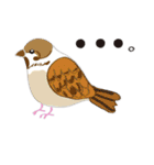 Lovely bird’s happy life（個別スタンプ：6）