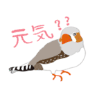 Lovely bird’s happy life（個別スタンプ：15）