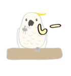 Lovely bird’s happy life（個別スタンプ：19）