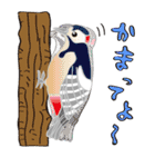 Lovely bird’s happy life（個別スタンプ：26）