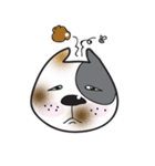 Funny pit bull head（個別スタンプ：17）