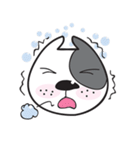 Funny pit bull head（個別スタンプ：20）