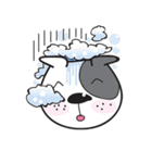 Funny pit bull head（個別スタンプ：26）