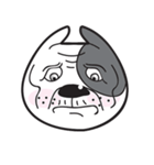 Funny pit bull head（個別スタンプ：39）