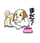 ザ・犬（個別スタンプ：5）