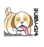 ザ・犬（個別スタンプ：25）