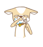 Chiwanwan sticker 3（個別スタンプ：2）