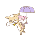 Chiwanwan sticker 3（個別スタンプ：32）