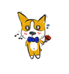 Mr. Sunshine corgi（個別スタンプ：12）