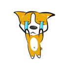 Mr. Sunshine corgi（個別スタンプ：16）