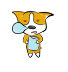 Mr. Sunshine corgi（個別スタンプ：24）