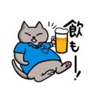 ダーツやろうよ！【ネコ編】（個別スタンプ：3）