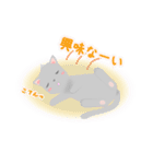 きまぐれねこ（個別スタンプ：5）