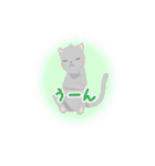きまぐれねこ（個別スタンプ：17）