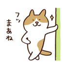 つぶやきねこ（個別スタンプ：17）