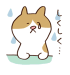 つぶやきねこ（個別スタンプ：22）