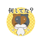 【猫スタンプ】ミケネコ4姉妹【日常】（個別スタンプ：10）