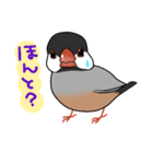 まいにち文鳥（個別スタンプ：20）