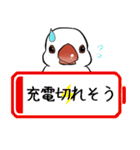 まいにち文鳥（個別スタンプ：36）