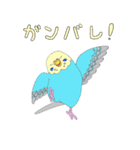 セキセイインコ達のマイペースな日常（個別スタンプ：15）