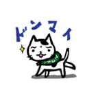 さすらいねこ おかか（個別スタンプ：7）