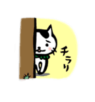 さすらいねこ おかか（個別スタンプ：17）