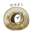 鳥だよ。（個別スタンプ：25）