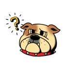 Mr.Bulldog（個別スタンプ：10）