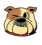Mr.Bulldog（個別スタンプ：13）