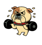 Mr.Bulldog（個別スタンプ：14）