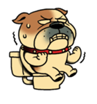 Mr.Bulldog（個別スタンプ：33）