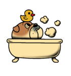 Mr.Bulldog（個別スタンプ：34）