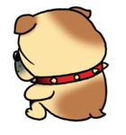 Mr.Bulldog（個別スタンプ：37）