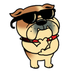 Mr.Bulldog（個別スタンプ：38）