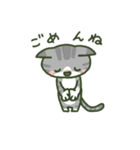 あめねこ（個別スタンプ：4）