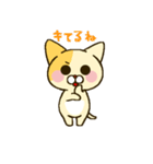 おふざけネコ（個別スタンプ：11）