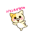 おふざけネコ（個別スタンプ：29）