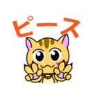 猫のニャン太（個別スタンプ：30）