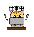 猫のニャン太（個別スタンプ：35）