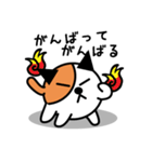 野良ねこ「のら」（個別スタンプ：11）