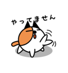 野良ねこ「のら」（個別スタンプ：13）