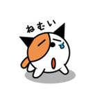 野良ねこ「のら」（個別スタンプ：20）