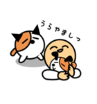 野良ねこ「のら」（個別スタンプ：26）