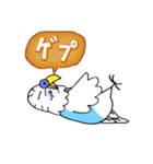 インコのピピ（個別スタンプ：7）