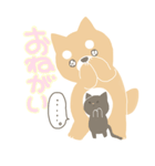 しばねこ（個別スタンプ：21）