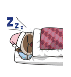 シャムねこのシャミー（個別スタンプ：37）