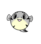 ふぐ太郎（個別スタンプ：1）